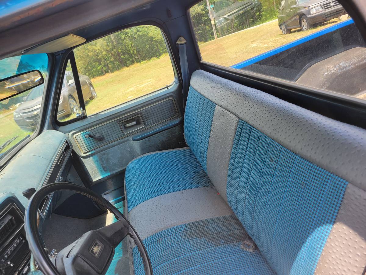 Chevy-1500-1980-5