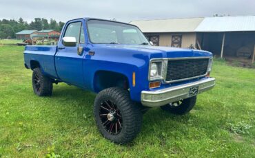 Chevy-1974-blue-2