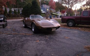 Chevy-1975-brown-3