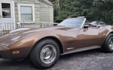 Chevy-1975-brown-5