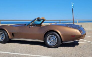 Chevy-1975-brown-6