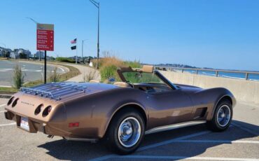 Chevy-1975-brown-7