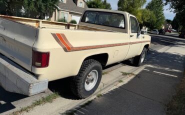 Chevy-1980-3