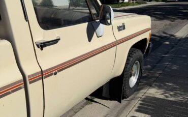 Chevy-1980-4