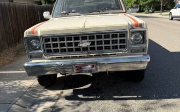 Chevy-1980-5