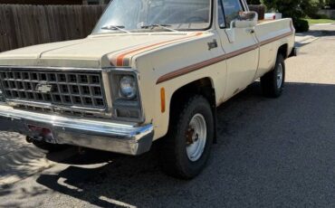 Chevy-1980-6