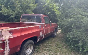 Chevy-1981-3