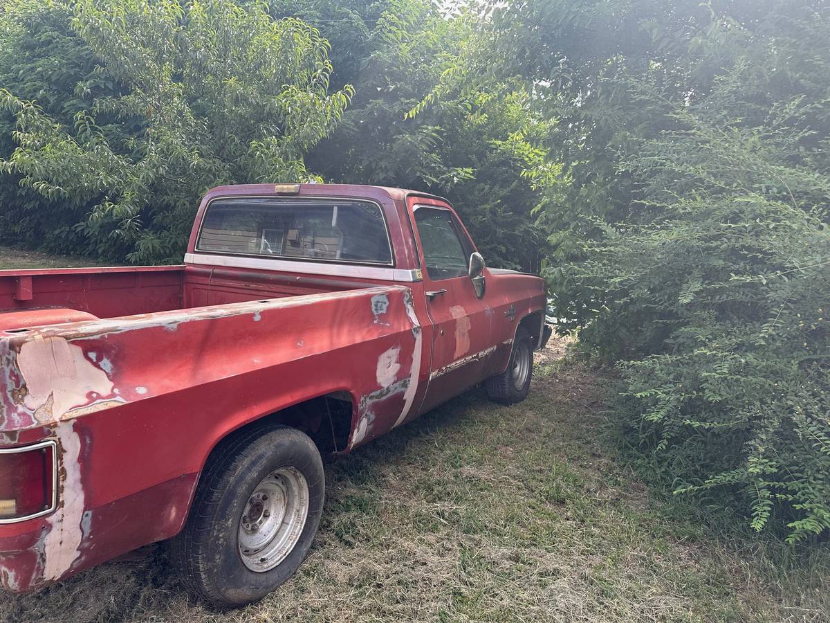 Chevy-1981-3