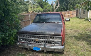Chevy-1981