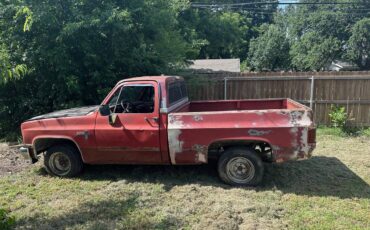 Chevy-1981-4