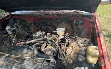 Chevy-1981-5