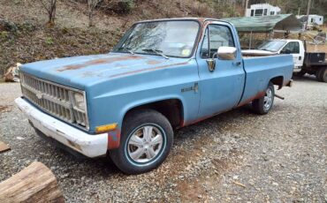 Chevy-1981-blue-16