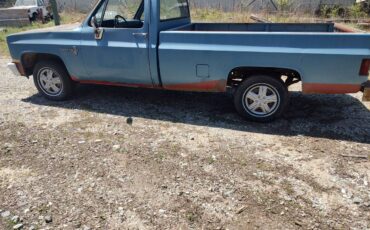 Chevy-1981-blue-2