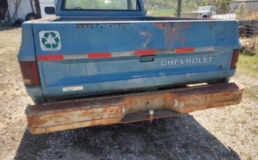 Chevy-1981-blue-3