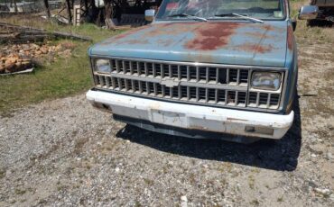 Chevy-1981-blue