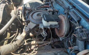 Chevy-1981-blue-5