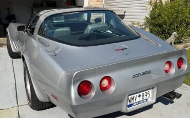 Chevy-1981-grey-7