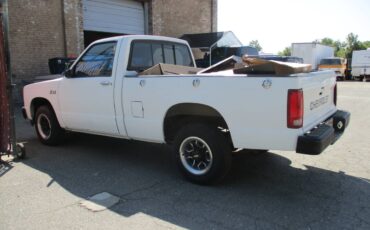 Chevy-1984-white-3