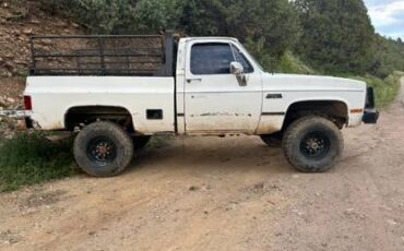 Chevy-2500-1983-white-11
