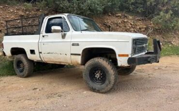 Chevy-2500-1983-white-5