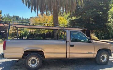 Chevy-2500-1994-brown-4