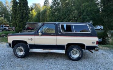 Chevy-blazer-4x4-k-5-1985-brown-1