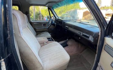 Chevy-blazer-4x4-k-5-1985-brown-5