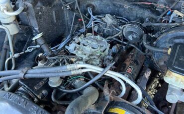Chevy-blazer-4x4-k-5-1985-brown-6