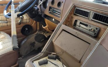 Chevy-bonanza-1979-brown-7