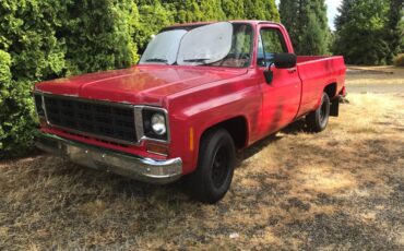 Chevy-c-10-long-bed-1977-red-5