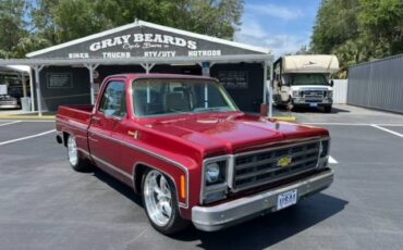Chevy-c10-1979-1