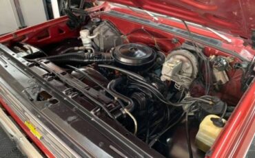 Chevy-c10-1979-10