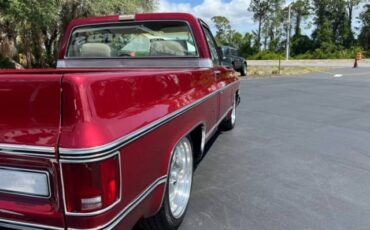 Chevy-c10-1979-13