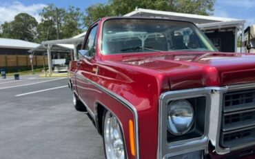 Chevy-c10-1979-6