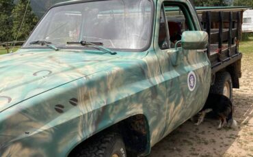 Chevy-c10-1986-green