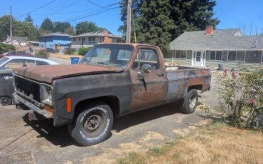Chevy-c10-truck-1973-black-4