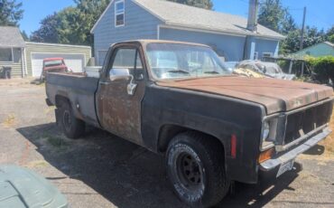 Chevy-c10-truck-1973-black-5