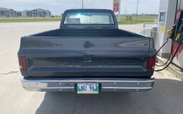 Chevy-c10-truck-1974-grey-4