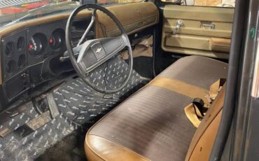 Chevy-c10-truck-1974-grey-8