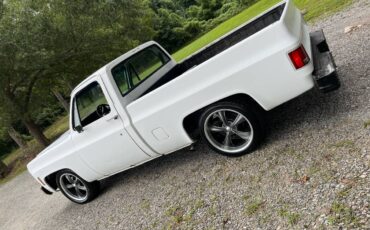 Chevy-c10-truck-1979-white-10