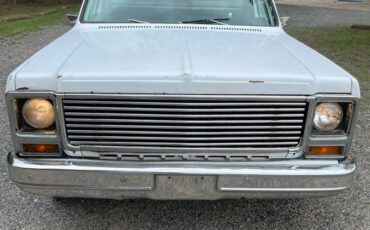 Chevy-c10-truck-1979-white-19