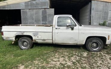 Chevy-c10-truck-1980-2