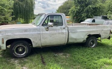 Chevy-c10-truck-1980-3