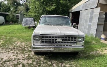 Chevy-c10-truck-1980
