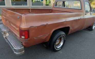 Chevy-c10-truck-1981-2