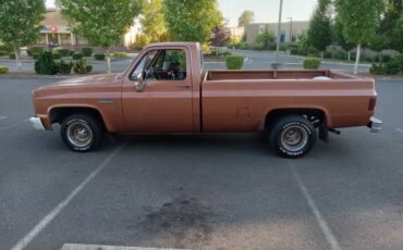 Chevy-c10-truck-1981-3