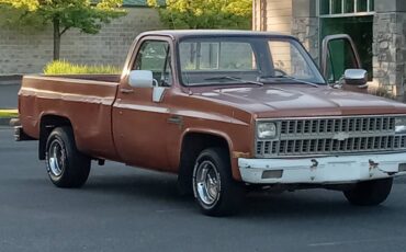 Chevy-c10-truck-1981