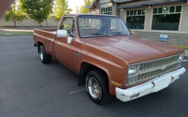 Chevy-c10-truck-1981-4