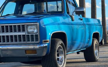 Chevy-c10-truck-1982-blue-2