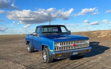 Chevy-c10-truck-1982-blue-3